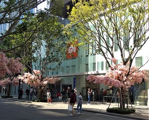 xiaomi store1